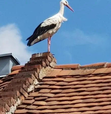 דירה Hossies Hof - Luxus Scheune ברטסדורף