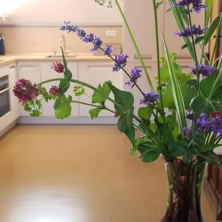 Hossies Hof - Luxus Scheune *